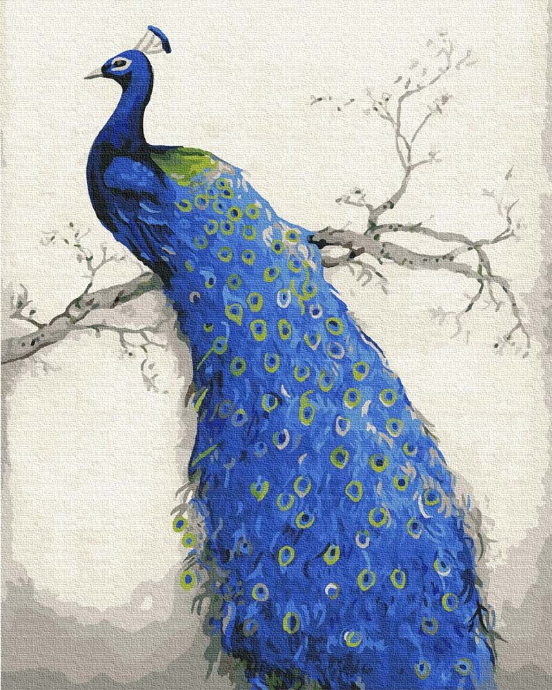 Peacock, 40x50 cm DIY Paint by numbers iPicasso