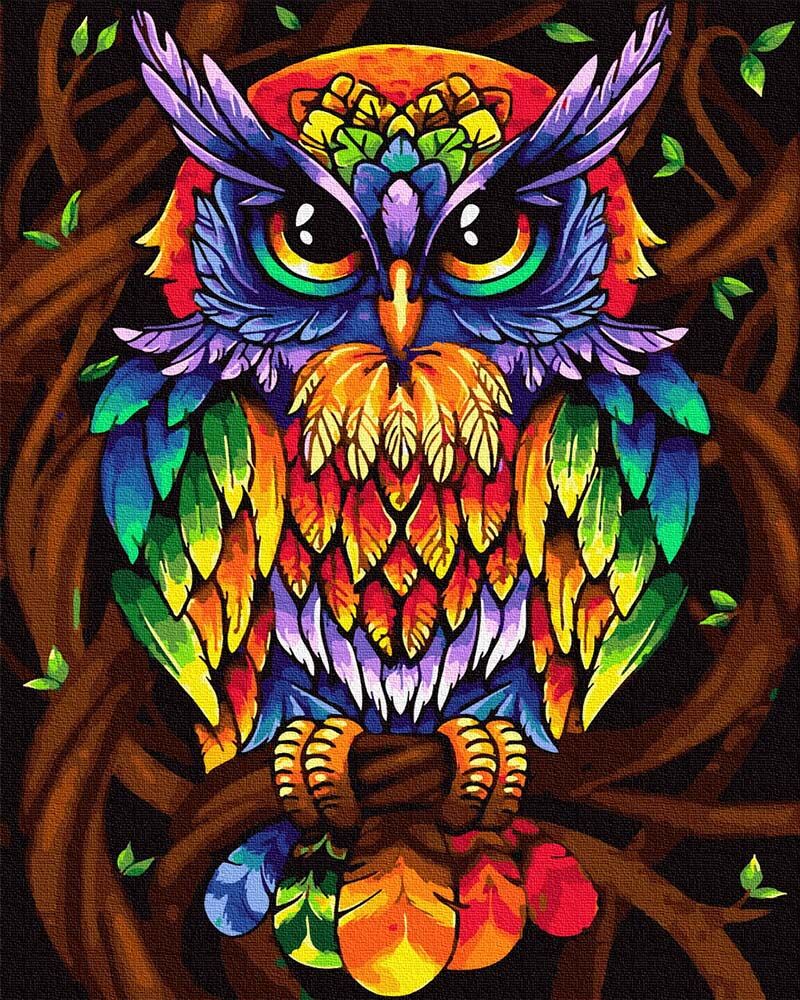 Rainbow owl, 40x50 cm DIY Paint by numbers iPicasso