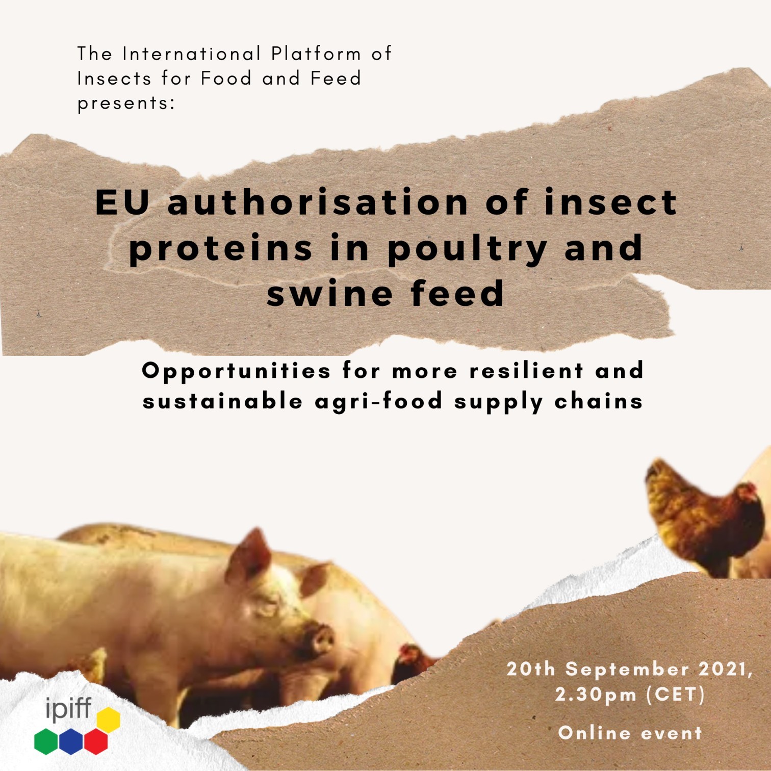 Insect proteins in poultry and pig feed are fully authorised in the