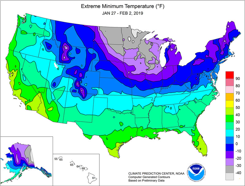Polar Vortex Whirls through Missouri Affecting Trees and Shrubs
