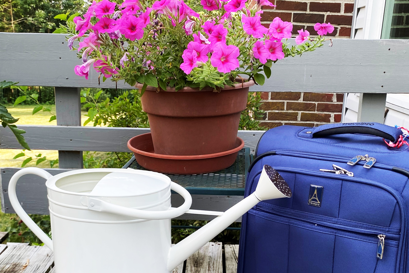 Summer Vacation Planning Includes Plant Care A great summer getaway