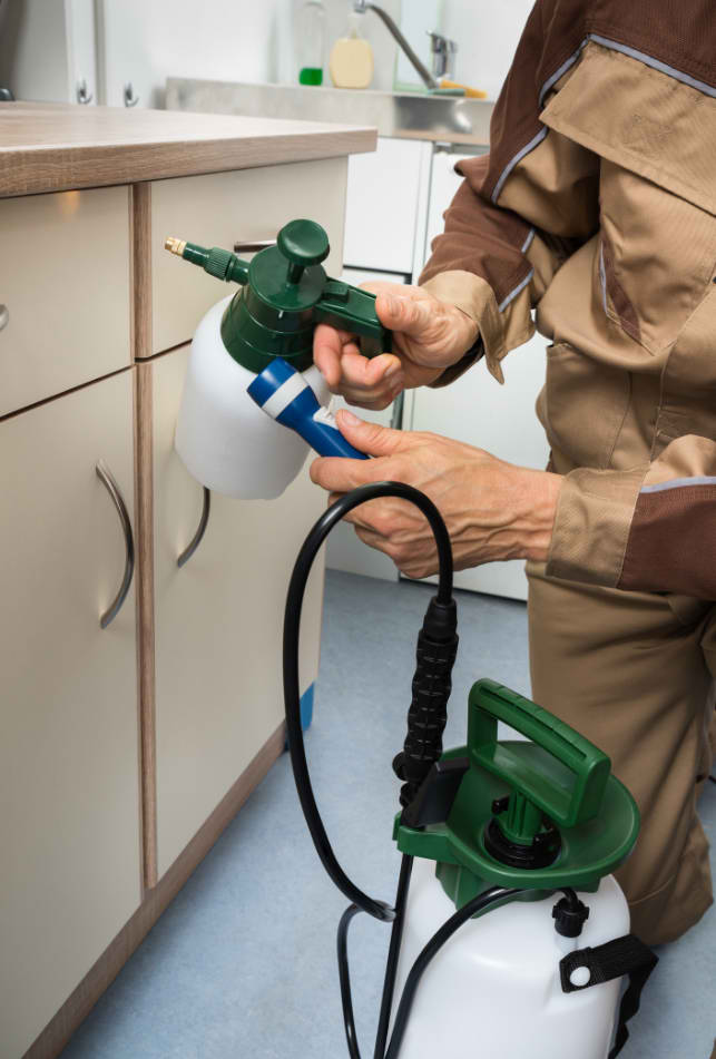 Indian Pest Management Pest Control Haridwar Branch Pest Control