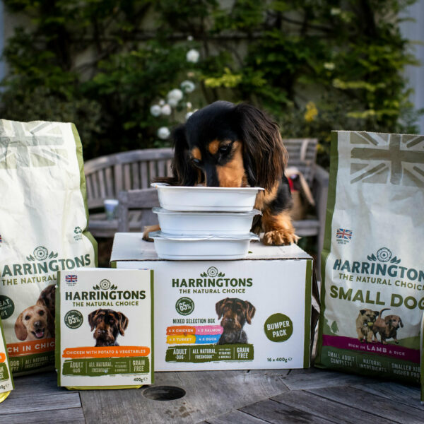 Environment Inspired Pet Nutrition IPN