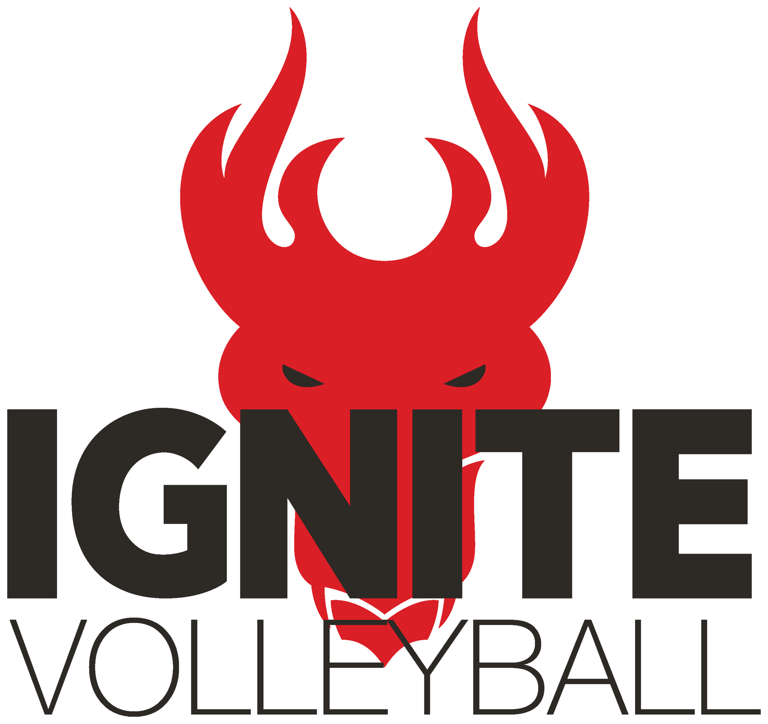 Ignite Volleyball Club
