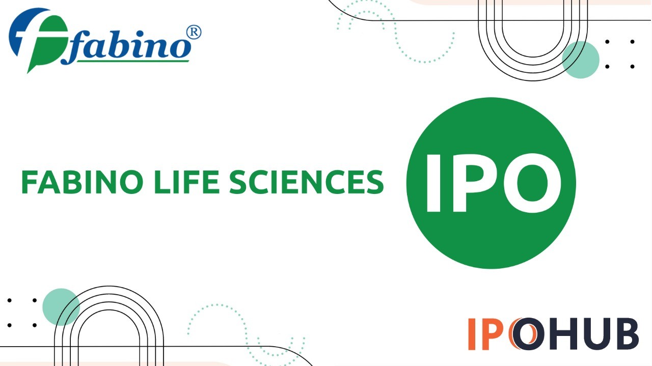 IPOHUB Latest IPO Information, Review, GMP, Allotment