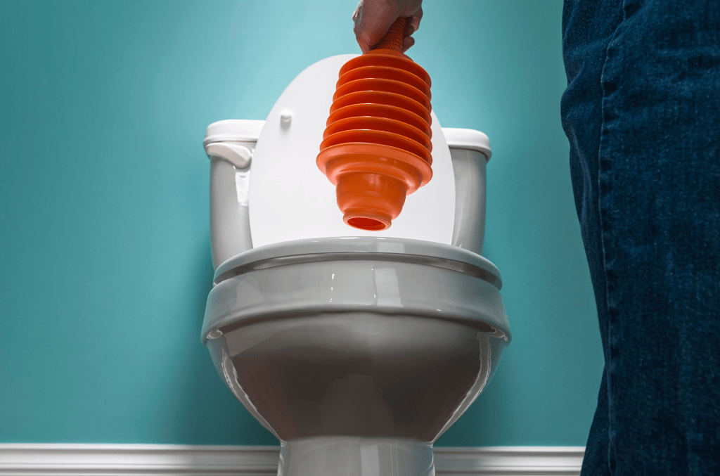 Mastering the Basics Your Comprehensive Guide to Toilet Plungers IP
