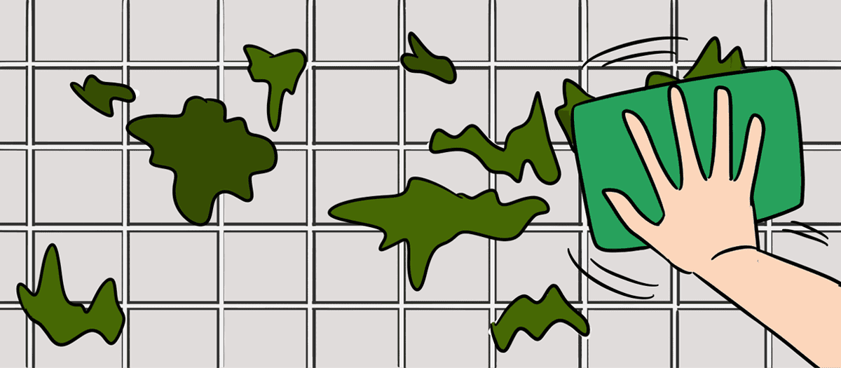 Landlord Responsibilities for Mold Problems [2023] All FAQs