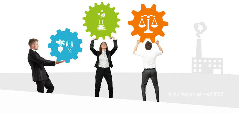 IPSB • L'histoire d'une ingénierie à taille humaine