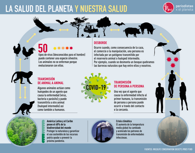 Los seguros de vida pueden ser baratos y buenos al mismo tiempo, explica por qué PuntoSeguro Los Seguros De Vida Pueden Ser Baratos Y Buenos A La Vez, PuntoSeguro Explica Por Qué