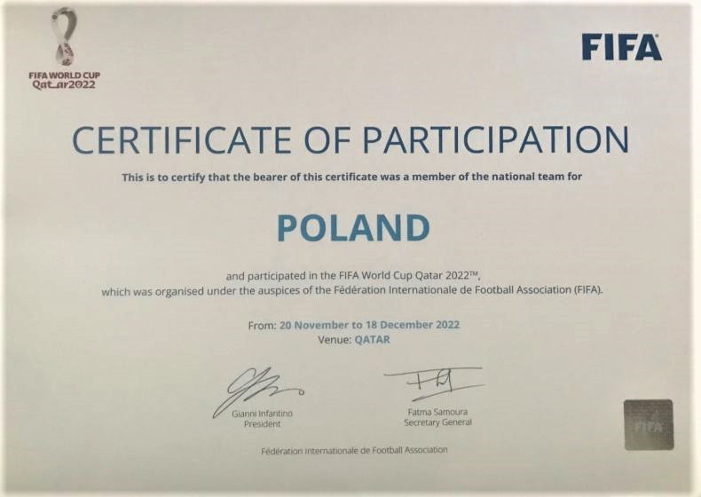 WORLD CUP CERTIFICATION IPSO