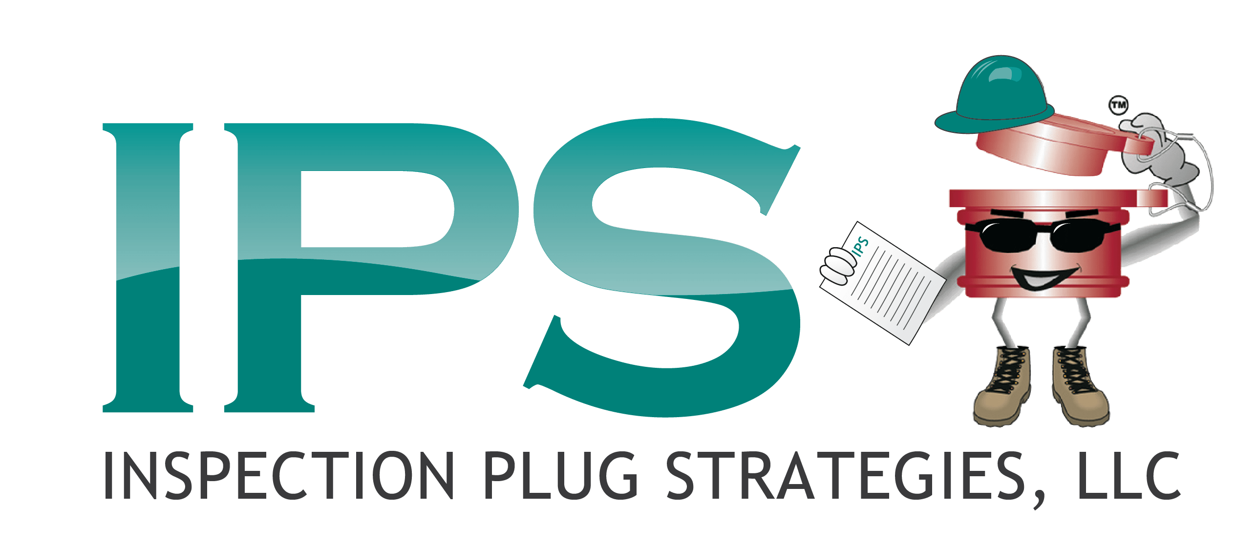 Contact Us Inspection Plug Strategies