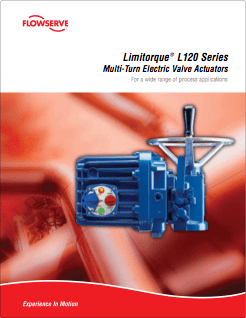 Limitorque Actuators Sales & Services | IPT Blue Ribbon Distributor