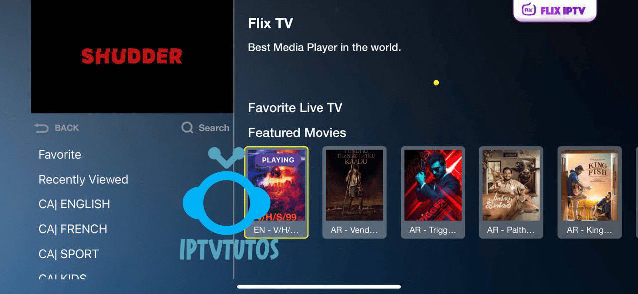 Comment configurer Flix IPTV sur Firestick, Samsung et LG Smart Tv