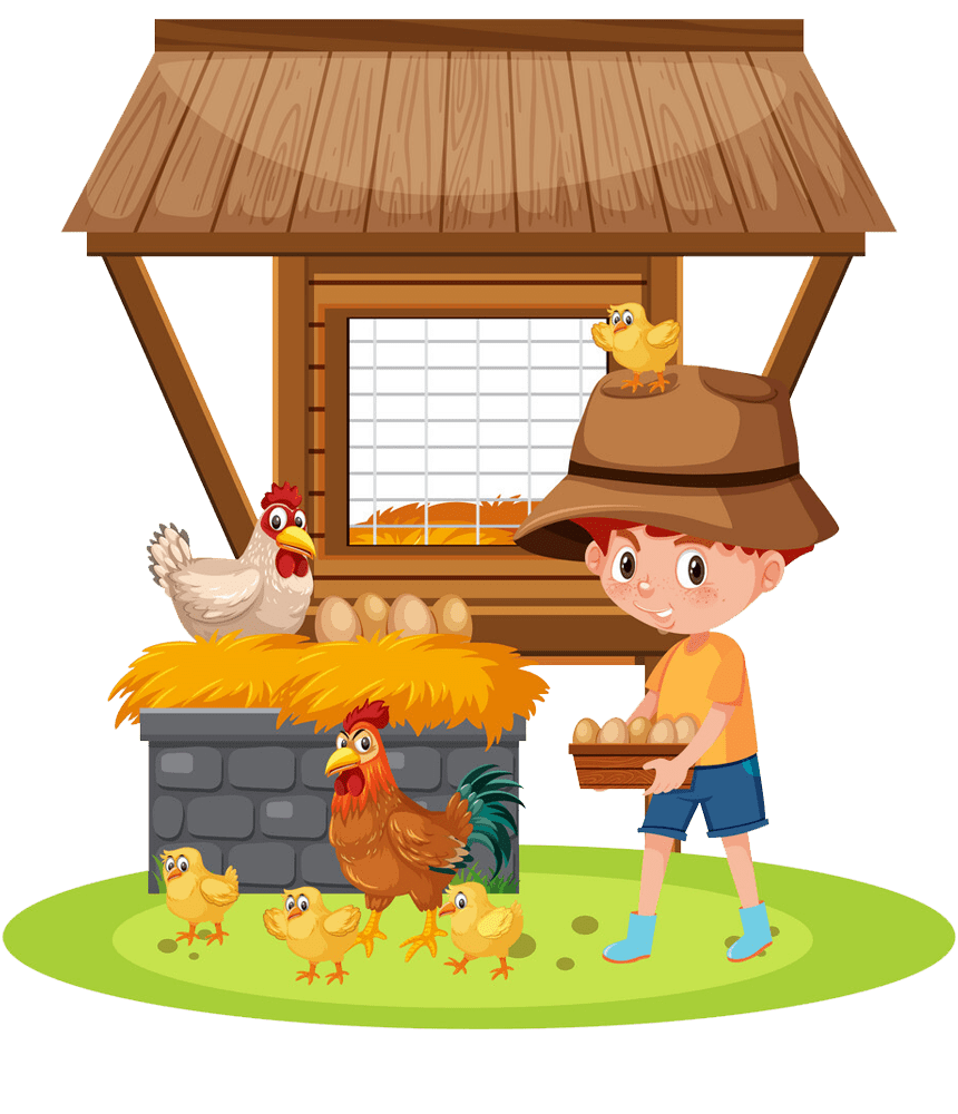 IPTWINGS THE ULTIMATE CHICKEN COOPS GUIDE