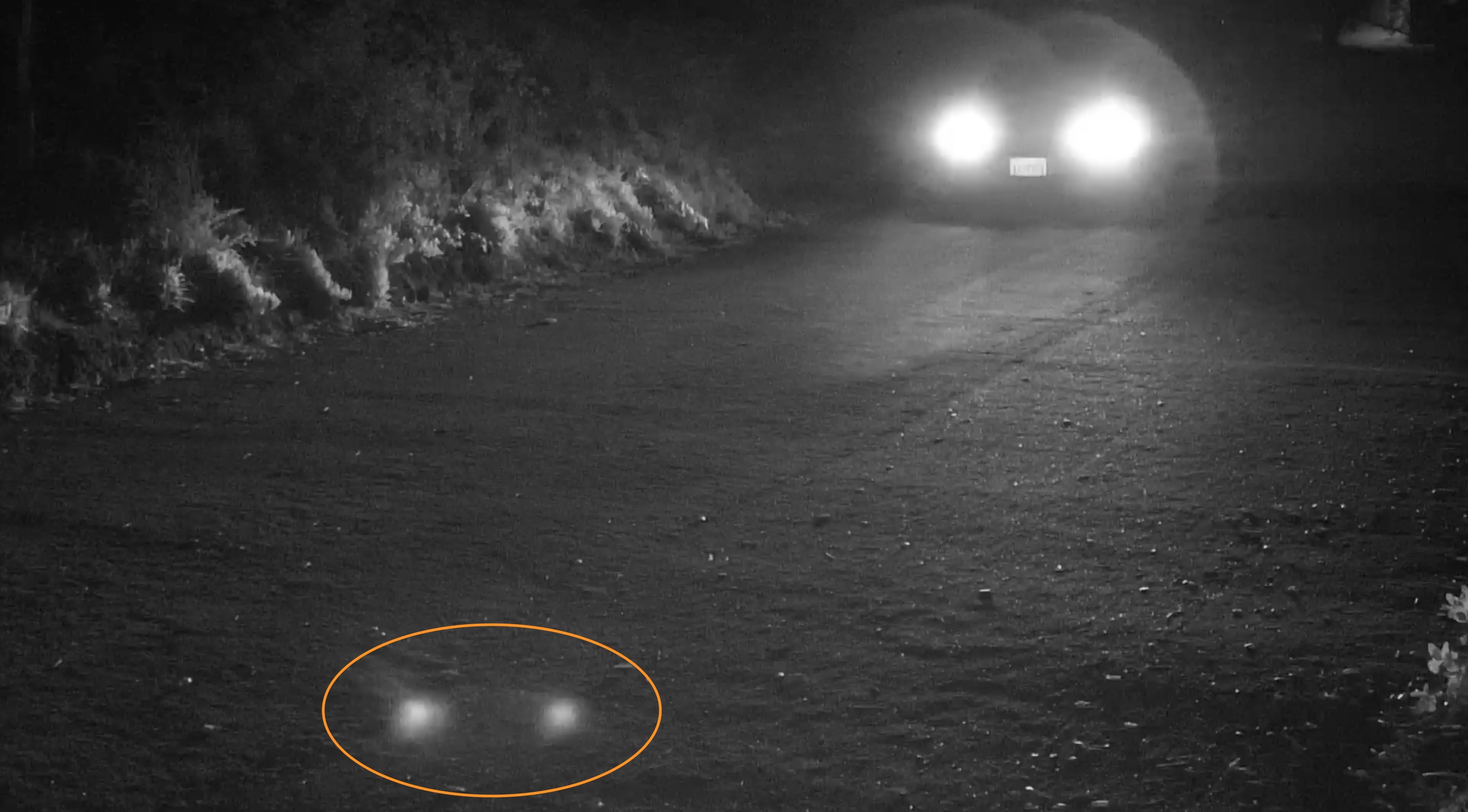 Preventing LPR Camera Lens Reflection Of Headlights At Night