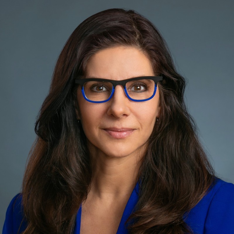 Cynthia Mitchell Patents & Intellectual Property Law