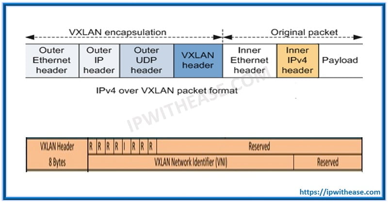 Basics of VXLAN IP With Ease