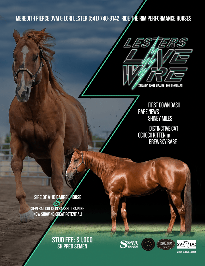 2025 Stallions COMING SOON Idaho Quarter Horse Racing