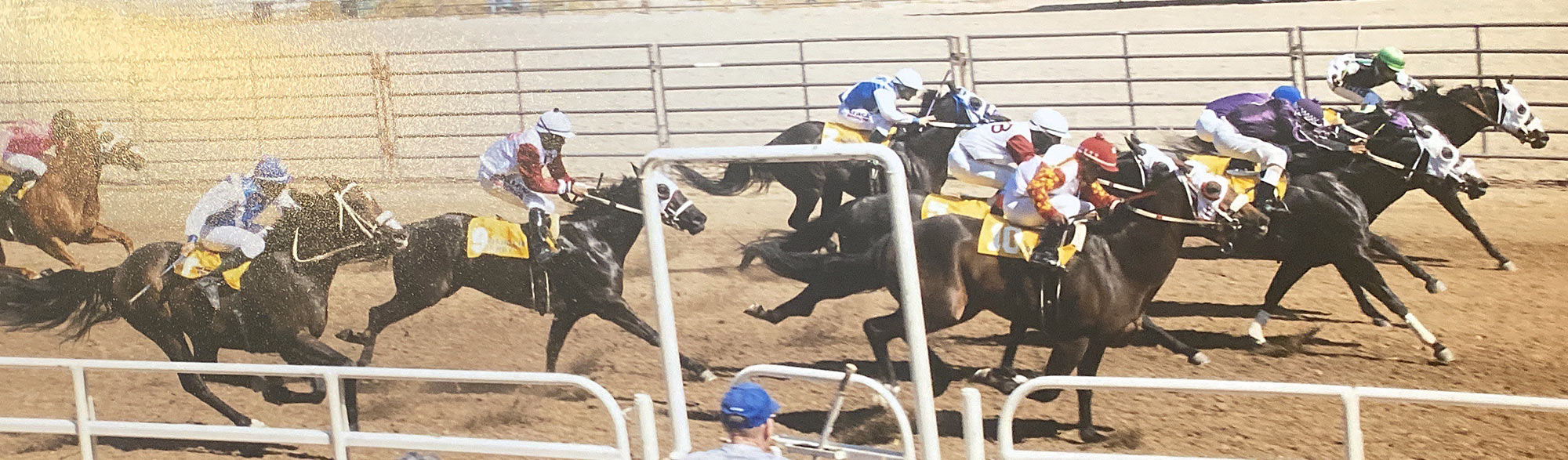 Idaho Quarter Horse Racing Racing Division