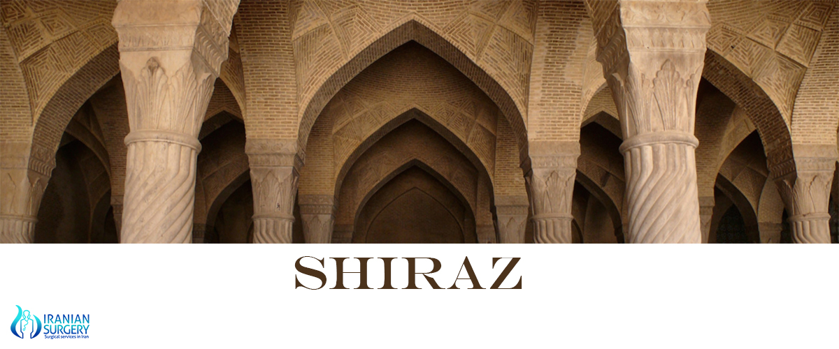 shiraz shiraz population Iranian Surgery