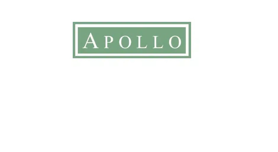 Apollo names global head of real assets News Institutional Real