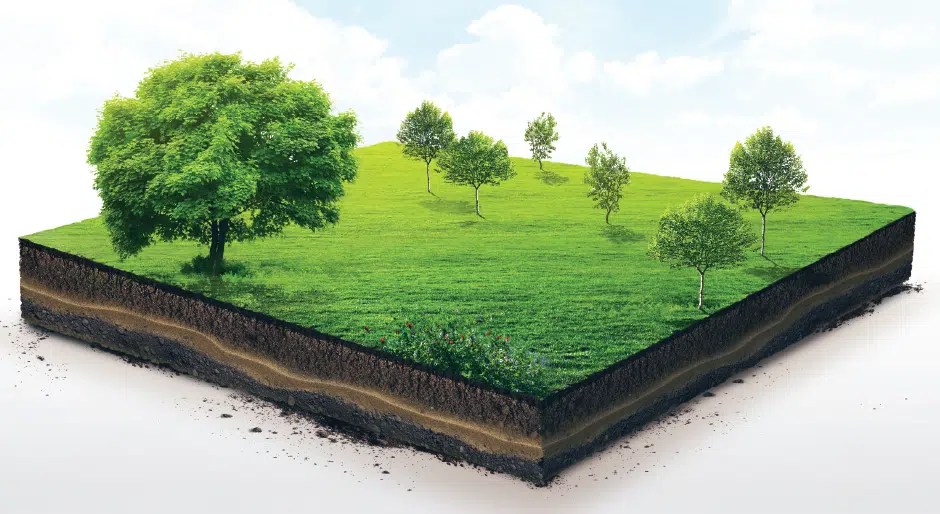 Investing in Undeveloped Land A question and answer session with Jim