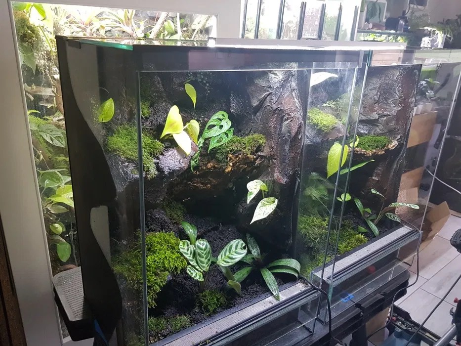 Terrarium gekon 40x40x60 z wodospadem Szczecin Centrum • OLX.pl