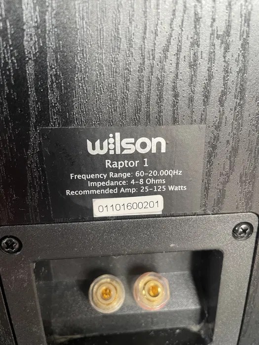 Kolumny Wilson Raptor Poznań Winogrady • OLX.pl