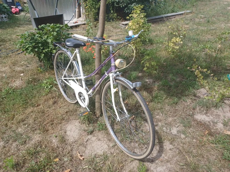 Rower damski holenderski damka Sędziny • OLX.pl