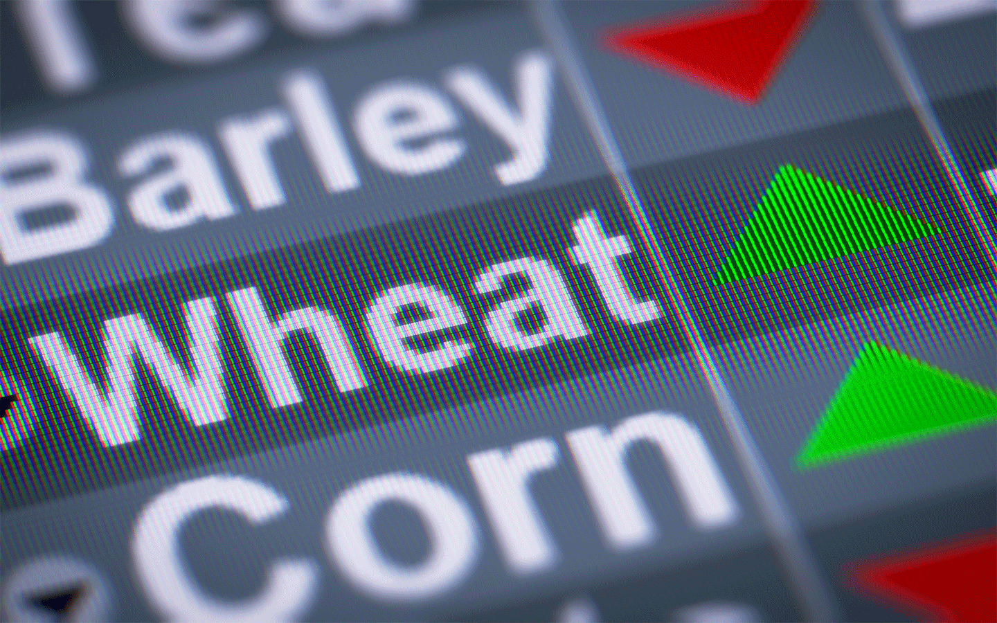 The Importance of Hedging in Commodity Management iRely