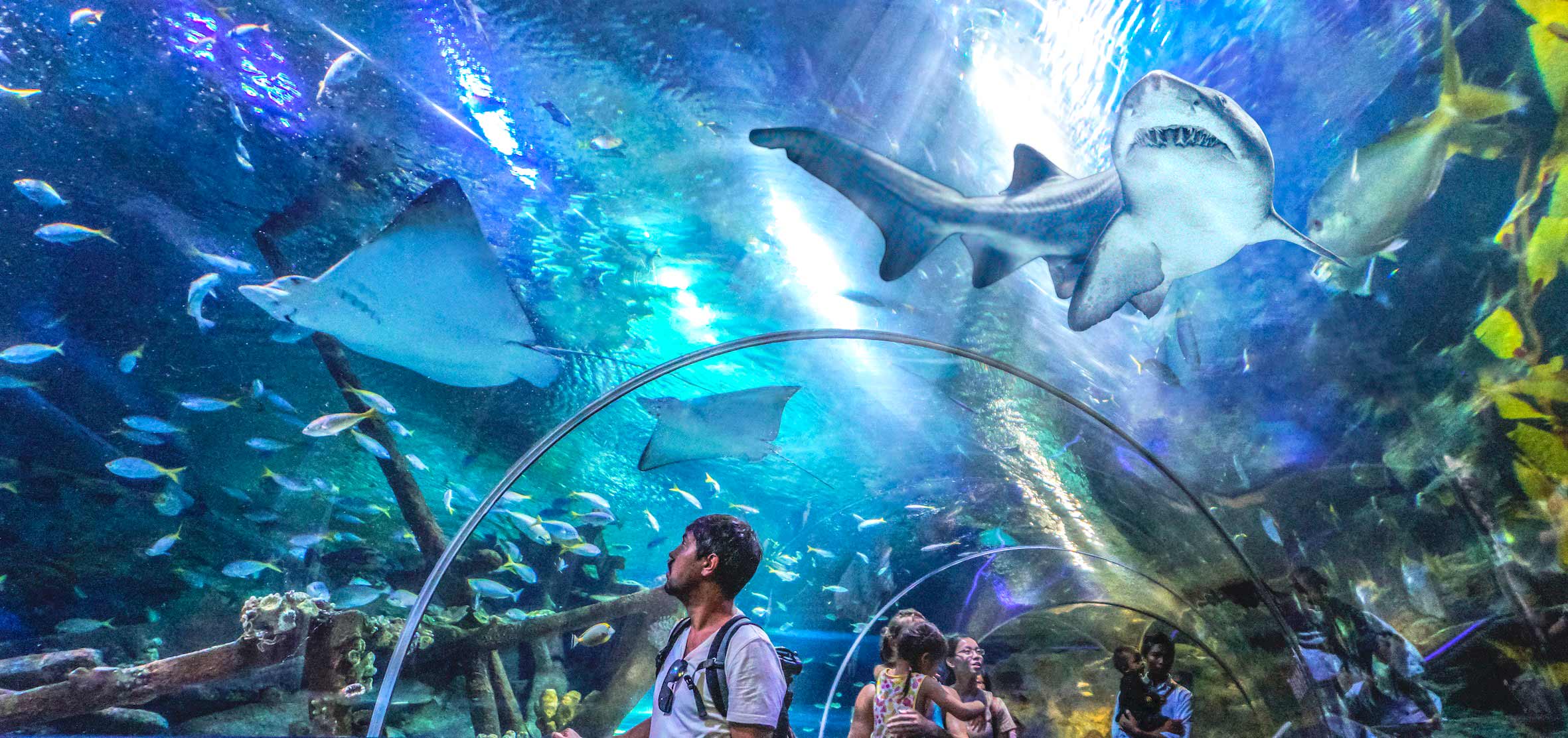 Visit underwater world of Aquaria KLCC