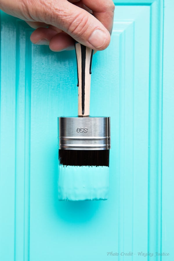 Cling On! Brushes Short Handled S50, SA50, S30