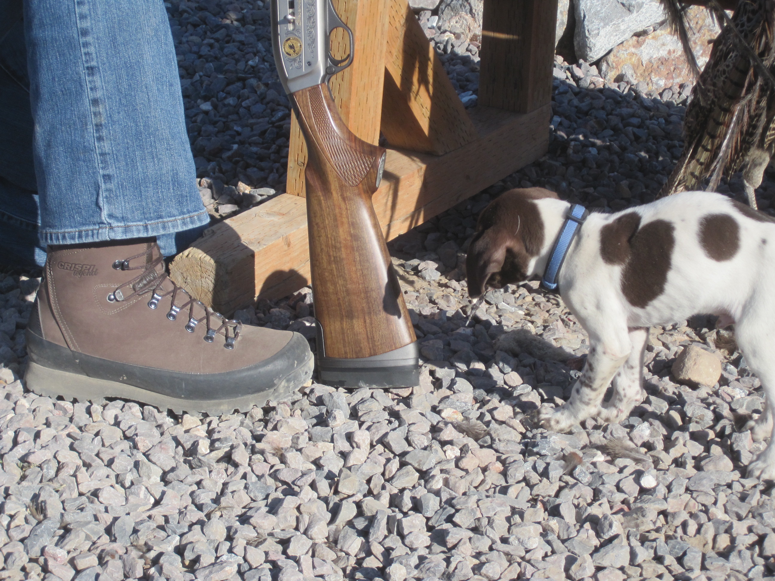 Crispi Hunter HTG GTX Boot Review