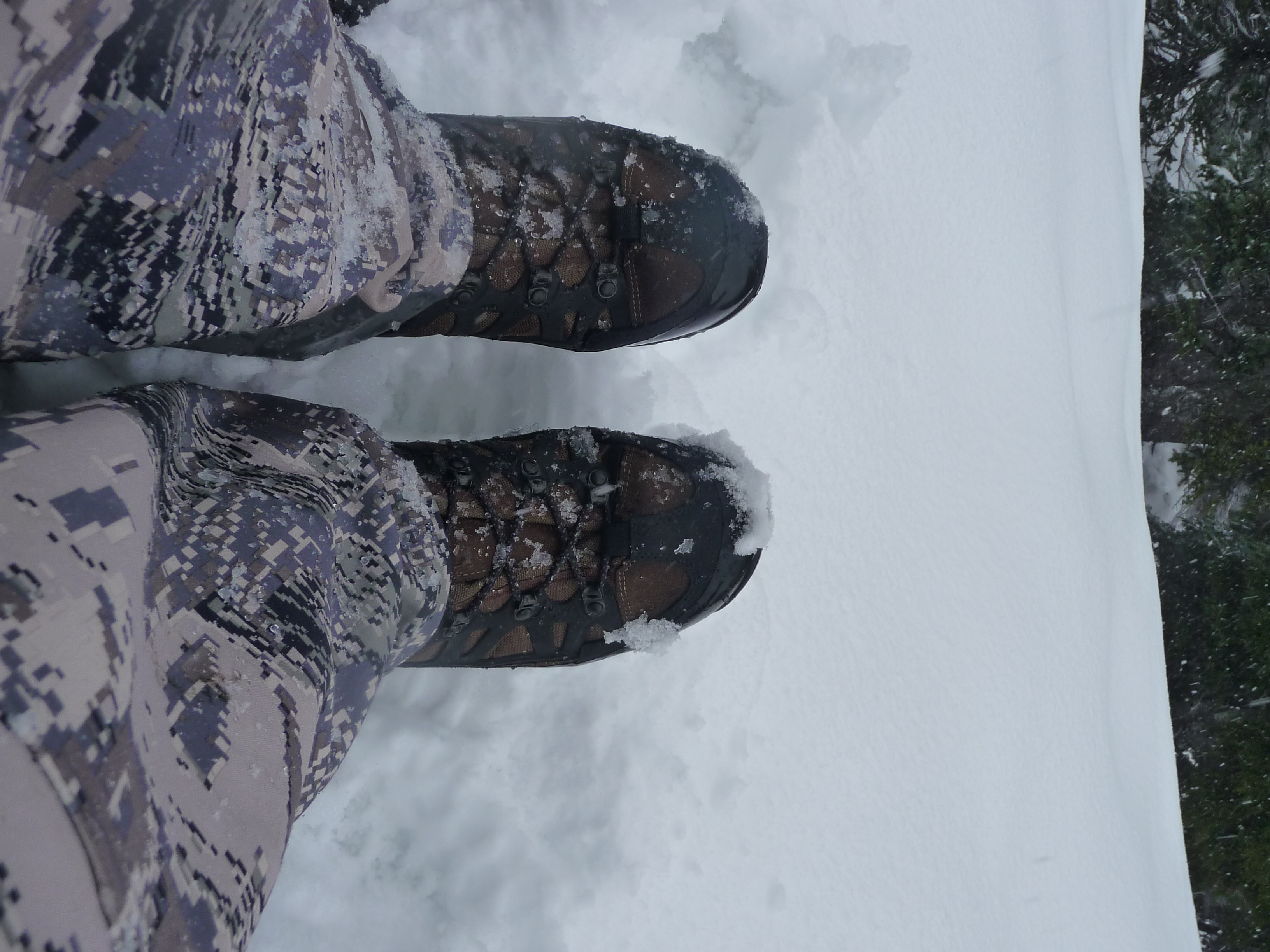 Crispi Idaho GTX® Hunting Boot Review