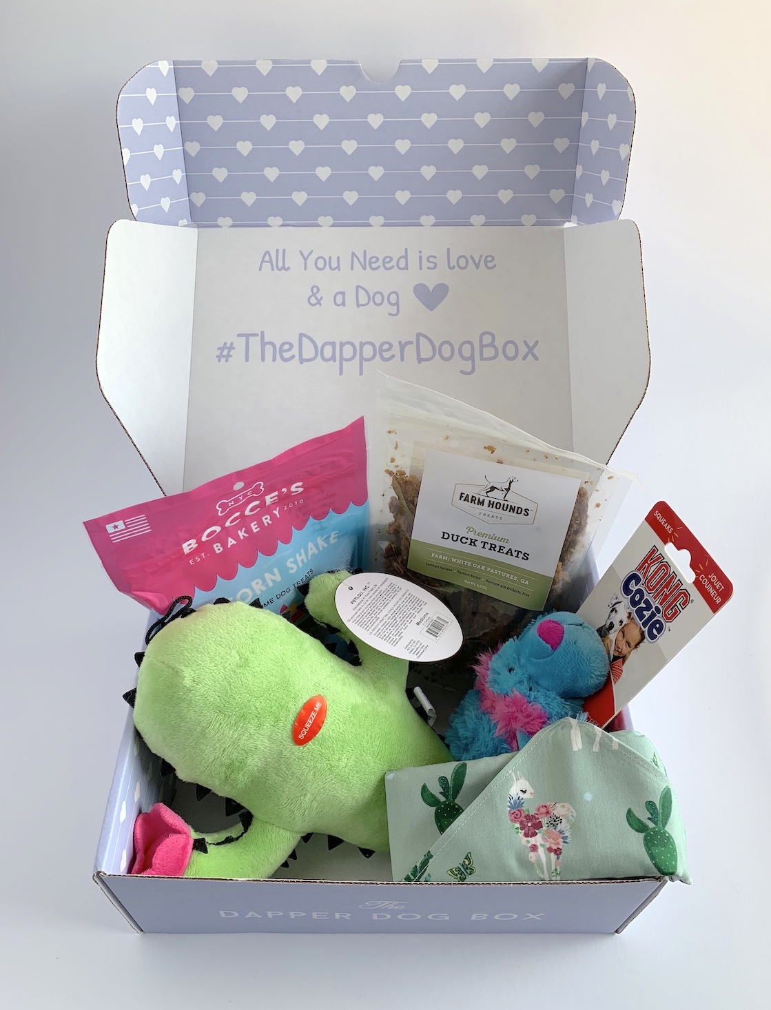 5 Perfect Valentine’s Day Gifts for Dog Lovers · Articles