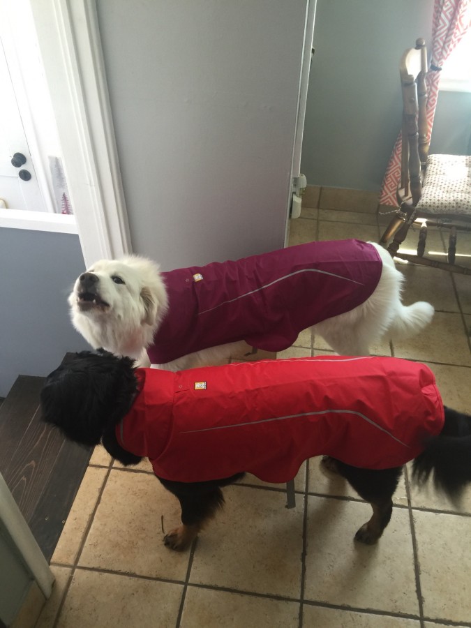 Ruffwear Sun Shower Dog Rain Jacket