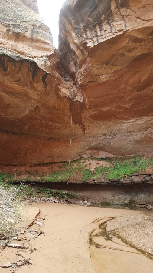 Sterling Canyon Tech Rope 9.5mm