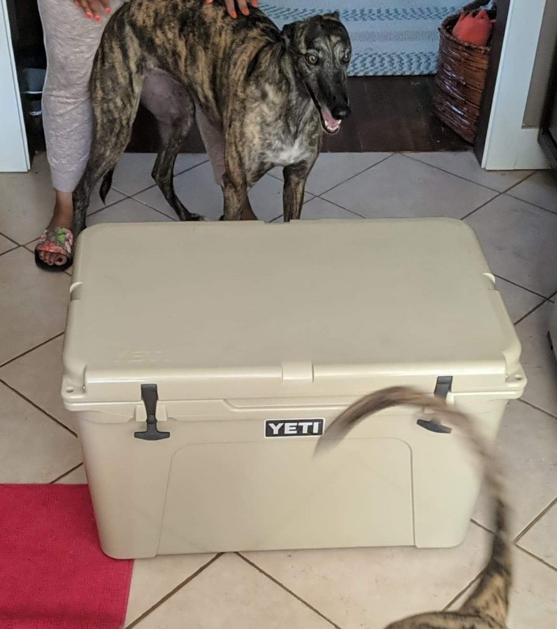 YETI Tundra 105 Cooler