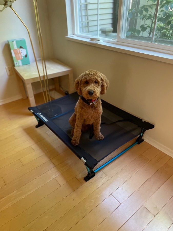 Helinox Elevated Dog Cot