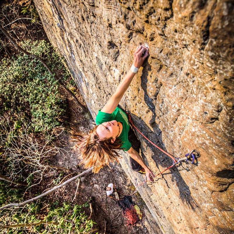 New River Iris Alpine