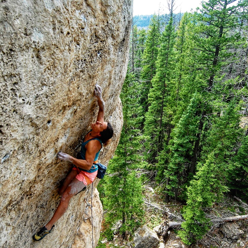 Ten Sleep, WY Iris Alpine