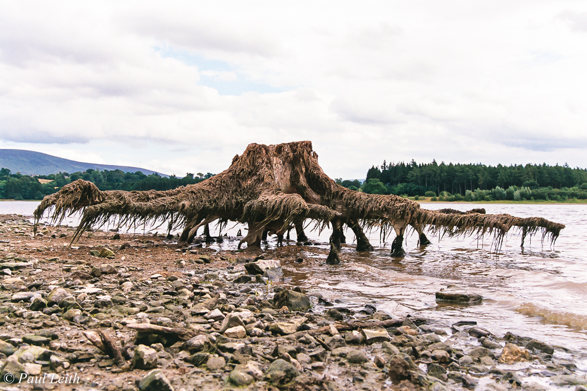 First Outing Poulaphouca Reservoir Irish Analog Adventures