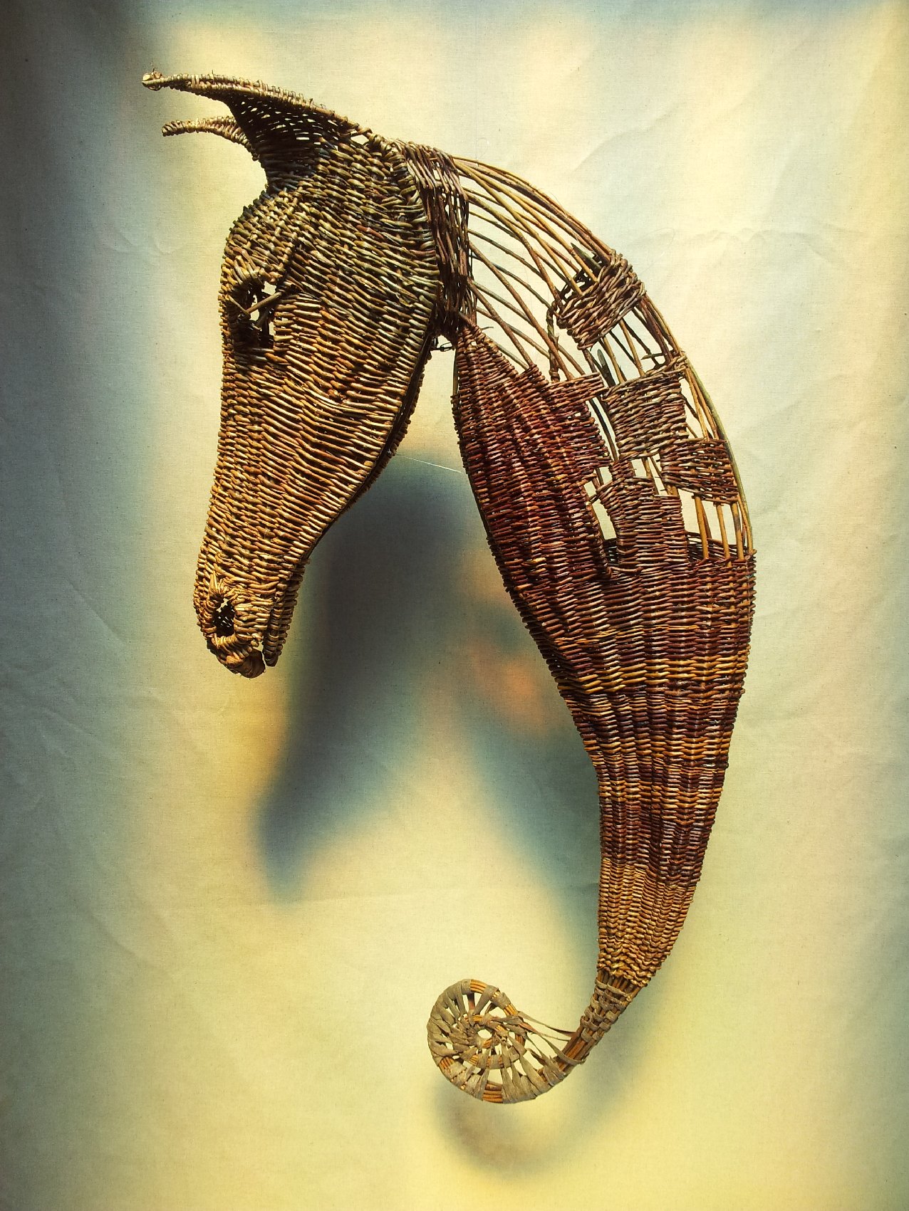 Beth Murphy Irish Basketmakers Association