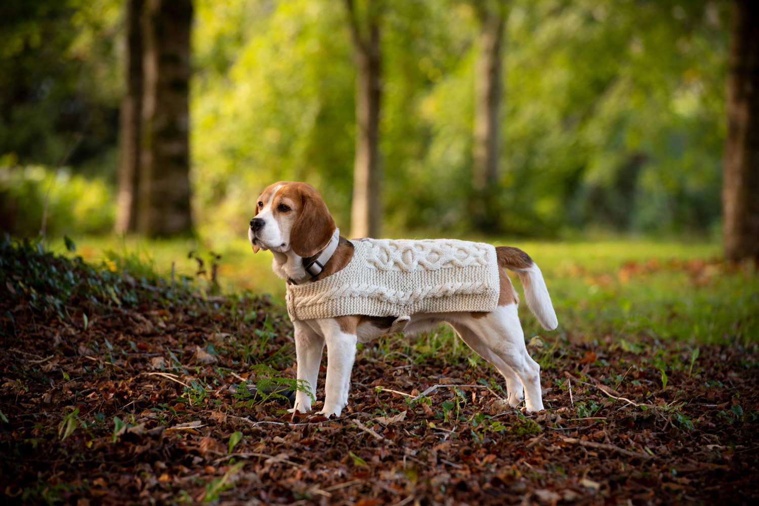 Irish Dog Designs is Irelands leading maker of handmade Aran Irish Dog