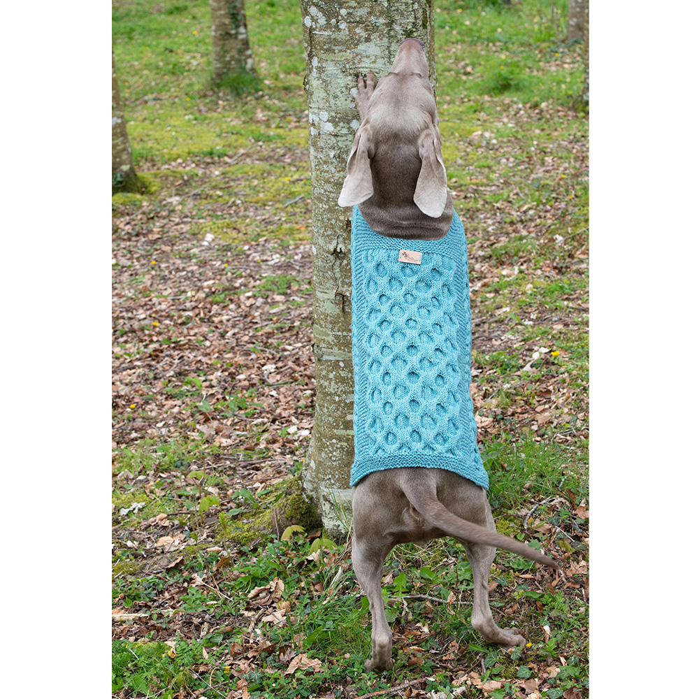 Irish dog sweater Archives Irish Dog Designs