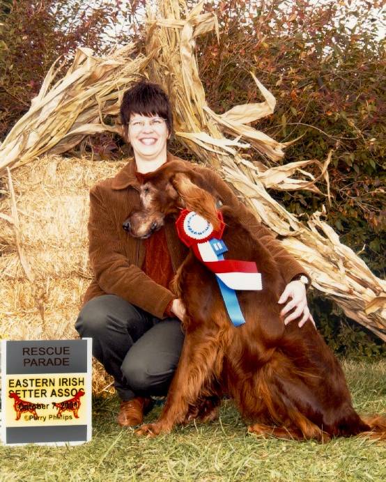 The dogs you to AdoptASetterIrish Setter RescueNJ