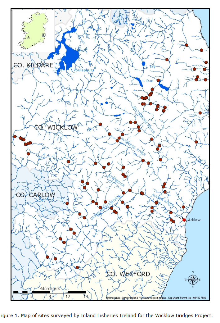 Wicklow Bridges Project Assessment of the risk of barriers to