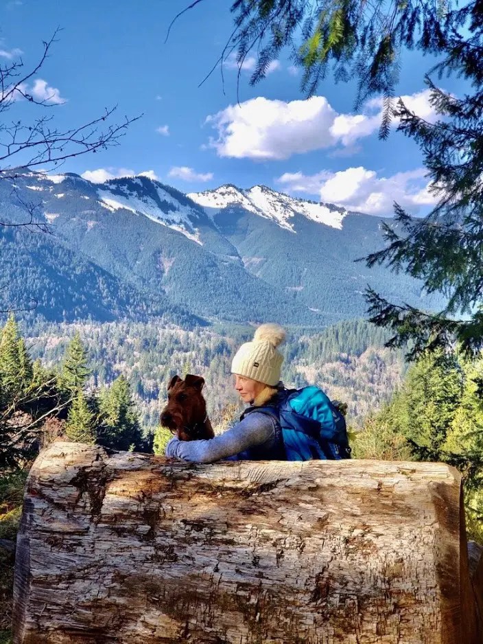 Gallery Kincora Irish Terriers, LLC