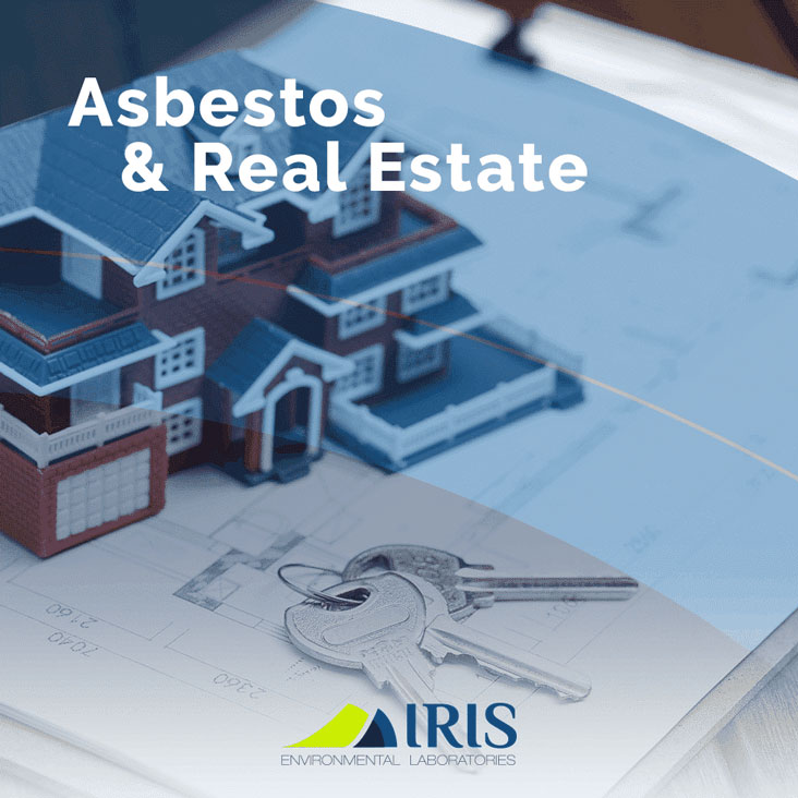 Asbestos & Real Estate IRIS Lab