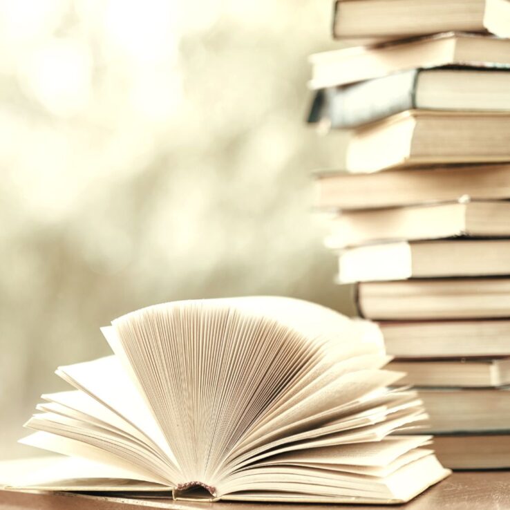 28 Of The Best Book Series For Adults